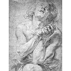 Fine Art Prints Rubens Seated Male Youth Study For Daniel Art Print Canvas Premium Wall Decor Poster Mural Fine Art Prints Rubens Seated Male Youth Study For Daniel Art Print Canvas Premium Wall Decor Poster Mural