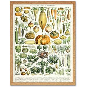 Artery8 Millot Encyclopedia Page Legumes Vegetables Art Print Framed Poster Wall Decor 12x16 inch Artery8 Millot Encyclopedia Page Legumes Vegetables Art Print Framed Poster Wall Decor 12x16 inch