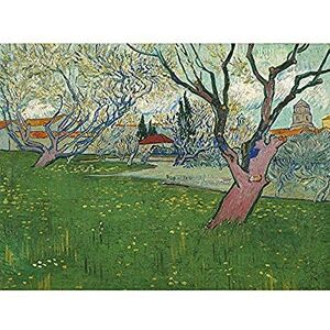 Fine Art Prints Vincent Van Gogh Bloeiende Boomgaarden Gezicht Op Arles Art Print Canvas Premium Wall Decor Poster Mural Fine Art Prints Vincent Van Gogh Bloeiende Boomgaarden Gezicht Op Arles Art Print Canvas Premium Wall Decor Poster Mural