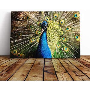 Big Box Art Peacock Bird Vol.5 Canvas Print Gallery Wrapped 30mm Frame Wall Art 20x14 inches Ready to Hang Modern Animals Picture Living Room Bedroom Lounge Office Big Box Art Peacock Bird Vol.5 Canvas Print Gallery Wrapped 30mm Frame Wall Art 20x14 inches Ready to Hang Modern Animals Picture Living Room Bedroom Lounge Office