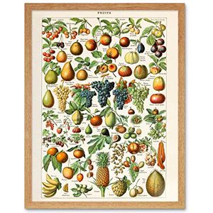 Artery8 Millot Encyclopedia Page Fruit Grape Pineapple Art Print Framed Poster Wall Decor 12x16 inch Artery8 Millot Encyclopedia Page Fruit Grape Pineapple Art Print Framed Poster Wall Decor 12x16 inch