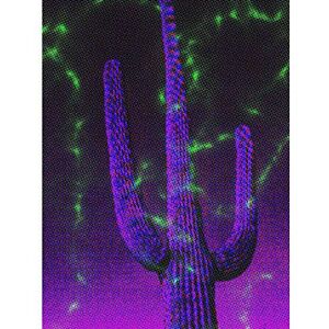 Wee Blue Coo Photo Painting Dark Gothic Cactus Aurora Graphic Art Print Poster Wall Decor 12X16 Inch Wee Blue Coo Photo Painting Dark Gothic Cactus Aurora Graphic Art Print Poster Wall Decor 12X16 Inch