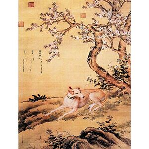 Wee Blue Coo Painting Animal Castiglione Ten Prized Dogs Shanxing Greyhound Art Print Poster Wall Decor 12X16 Inch Wee Blue Coo Painting Animal Castiglione Ten Prized Dogs Shanxing Greyhound Art Print Poster Wall Decor 12X16 Inch