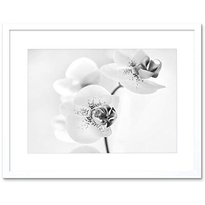 Artery8 - Orchid BW Floral - Black and White - Framed Wall Art Artery8 - Orchid BW Floral - Black and White - Framed Wall Art