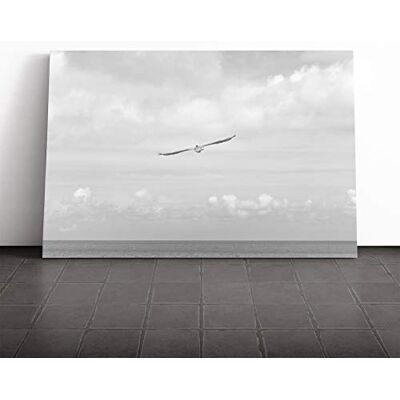 Big Box Art Bird Flying in The Sky Canvas Print Gallery Wrapped 30mm Frame Wall Art 30x20 inches Ready to Hang Modern Animals Picture Living Room Bedroom Lounge Office Big Box Art Bird Flying in The Sky Canvas Print Gallery Wrapped 30mm Frame Wall Art 30x20 inches Ready to Hang Modern Animals Picture Living Room Bedroom Lounge Office
