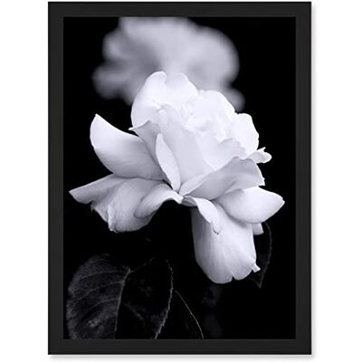 Artery8 - Nature - A4 - Framed - Wall Art Artery8 - Nature - A4 - Framed - Wall Art