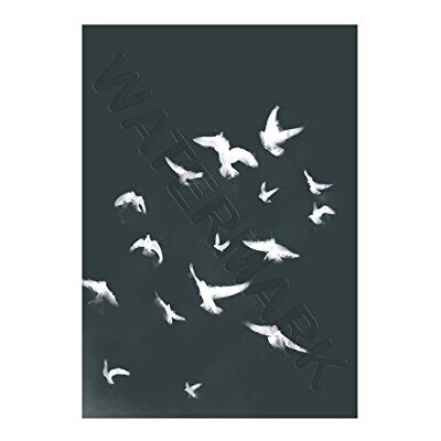 Wee Blue Coo Flock Of Birds Silhouette Black White Wall Art Print Wee Blue Coo Flock Of Birds Silhouette Black White Wall Art Print