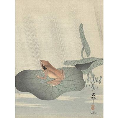 Artery8 Ohara Koson Frog Lotus Leaf Pond Japanese Painting Unframed Wall Art Print Poster Home Decor Premium Artery8 Ohara Koson Frog Lotus Leaf Pond Japanese Painting Unframed Wall Art Print Poster Home Decor Premium