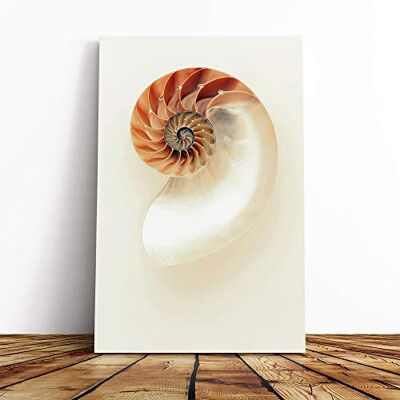 Big Box Art Mother of Pearl Shell Canvas Print Gallery Wrapped 30mm Frame Wall Art 20x14 inches Ready to Hang Modern Animals Picture Living Room Bedroom Lounge Office Big Box Art Mother of Pearl Shell Canvas Print Gallery Wrapped 30mm Frame Wall Art 20x14 inches Ready to Hang Modern Animals Picture Living Room Bedroom Lounge Office