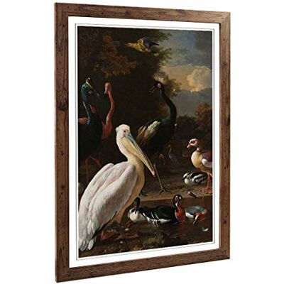 Big Box Art Framed Print of Melchior d'Hondecoeter Birds Design Wall Art Picture Home Decor for Kitchen, Living, Dining Room, Bedroom, Hallway, Office, Walnut, A2 / 24.5x18 Inch / 62x45cm Big Box Art Framed Print of Melchior d'Hondecoeter Birds Design Wall Art Picture Home Decor for Kitchen, Living, Dining Room, Bedroom, Hallway, Office, Walnut, A2 / 24.5x18 Inch / 62x45cm