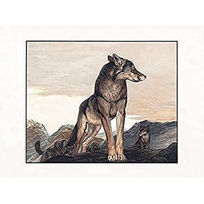 Fine Art Prints Detmold Akela Lone Wolf Jungle Book Painting Art Print Canvas Premium Wall Decor Poster Mural Fine Art Prints Detmold Akela Lone Wolf Jungle Book Painting Art Print Canvas Premium Wall Decor Poster Mural