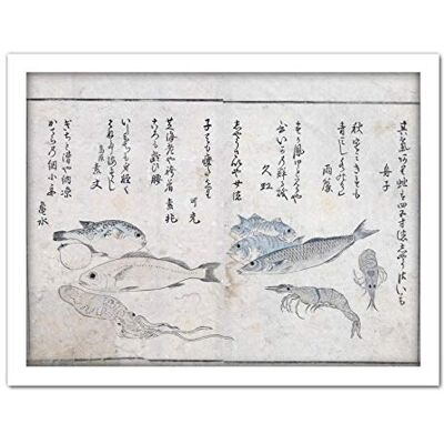 Artery8 Masayoshi Sea Animals Fish Japanese Painting Artwork Framed Wall Art Print 18X24 Inch Artery8 Masayoshi Sea Animals Fish Japanese Painting Artwork Framed Wall Art Print 18X24 Inch