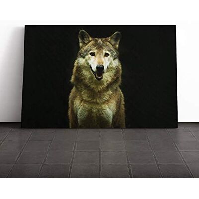 Big Box Art Wolf (3) Canvas Print Gallery Wrapped 30mm Frame Wall Art 24x16 inches Ready to Hang Modern Animals Picture Living Room Bedroom Lounge Office Big Box Art Wolf (3) Canvas Print Gallery Wrapped 30mm Frame Wall Art 24x16 inches Ready to Hang Modern Animals Picture Living Room Bedroom Lounge Office