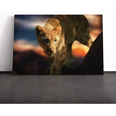 Big Box Art Lion Cub (2) Canvas Print Gallery Wrapped 30mm Frame Wall Art 24x16 inches Ready to Hang Modern Animals Picture Living Room Bedroom Lounge Office Big Box Art Lion Cub (2) Canvas Print Gallery Wrapped 30mm Frame Wall Art 24x16 inches Ready to Hang Modern Animals Picture Living Room Bedroom Lounge Office