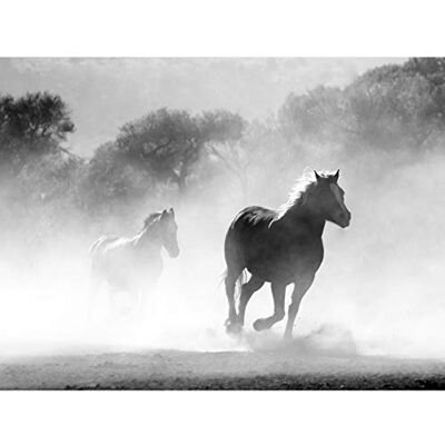 Fine Art Prints Poster, Motiv: Pferde laufender Nebel, groß, 45,7 x 61 cm Fine Art Prints Poster, Motiv: Pferde laufender Nebel, groß, 45,7 x 61 cm
