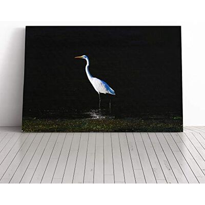 Big Box Art Egret Bird Canvas Print Gallery Wrapped 30mm Frame Wall Art 20x14 inches Ready to Hang Modern Animals Picture Living Room Bedroom Lounge Office Big Box Art Egret Bird Canvas Print Gallery Wrapped 30mm Frame Wall Art 20x14 inches Ready to Hang Modern Animals Picture Living Room Bedroom Lounge Office