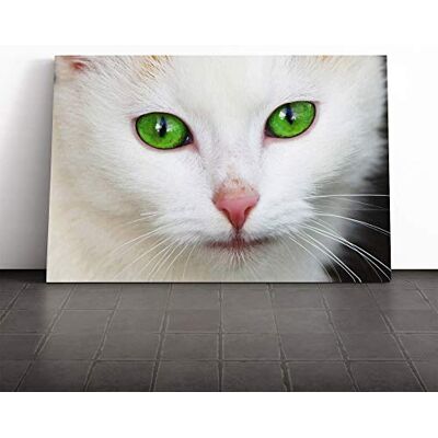 Big Box Art Cat Eyes (1) Canvas Print Gallery Wrapped 30mm Frame Wall Art 20x14 inches Ready to Hang Modern Animals Picture Living Room Bedroom Lounge Office Big Box Art Cat Eyes (1) Canvas Print Gallery Wrapped 30mm Frame Wall Art 20x14 inches Ready to Hang Modern Animals Picture Living Room Bedroom Lounge Office