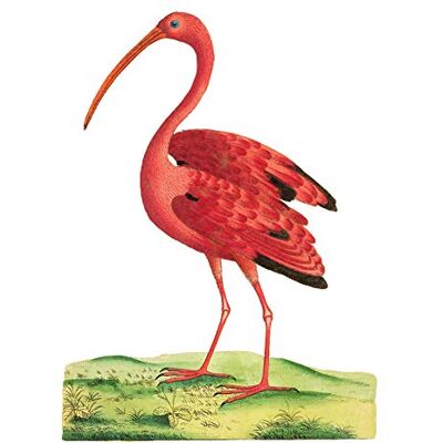 Fine Art Prints Bird Scarlet Ibis Art Print Canvas Premium Wall Decor Poster Fine Art Prints Bird Scarlet Ibis Art Print Canvas Premium Wall Decor Poster
