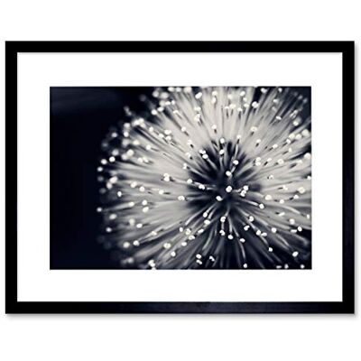 Artery8 - MacroPhoto - Black - 12X16 inch - Wall Art Print Artery8 - MacroPhoto - Black - 12X16 inch - Wall Art Print