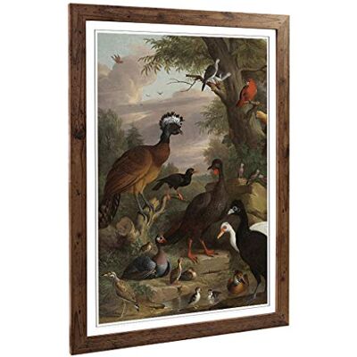 Big Box Art Framed Print of Melchior d'Hondecoeter Birds 2 Design Wall Art Picture Home Decor for Kitchen, Living, Dining Room, Bedroom, Hallway, Office, Walnut, A2 / 24.5x18 Inch / 62x45cm Big Box Art Framed Print of Melchior d'Hondecoeter Birds 2 Design Wall Art Picture Home Decor for Kitchen, Living, Dining Room, Bedroom, Hallway, Office, Walnut, A2 / 24.5x18 Inch / 62x45cm