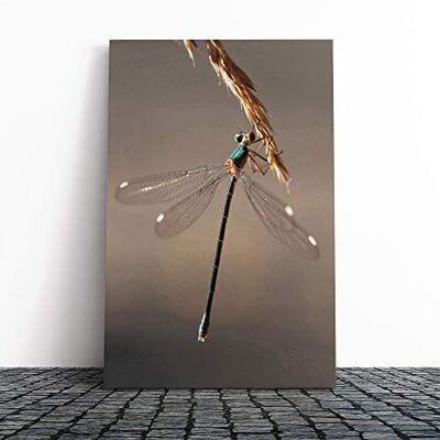 Big Box Art Dragonfly Canvas Print Gallery Wrapped 30mm Frame Wall Art 24x16 inches Ready to Hang Modern Animals Picture Living Room Bedroom Lounge Office Big Box Art Dragonfly Canvas Print Gallery Wrapped 30mm Frame Wall Art 24x16 inches Ready to Hang Modern Animals Picture Living Room Bedroom Lounge Office