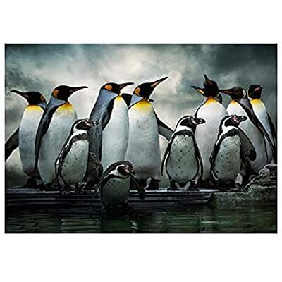 Wee Blue Coo Photo Nature Emperor Penguin Birds Wall Art Print Wee Blue Coo Photo Nature Emperor Penguin Birds Wall Art Print