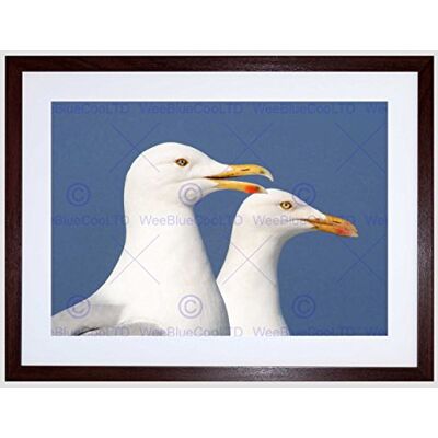 Wee Blue Coo Seagulls Birds Seaside Art Framed Wall Art Print Wee Blue Coo Seagulls Birds Seaside Art Framed Wall Art Print