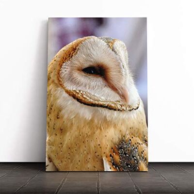 Big Box Art Barn Owl Bird (2) Canvas Print Gallery Wrapped 30mm Frame Wall Art 24x16 inches Ready to Hang Modern Animals Picture Living Room Bedroom Lounge Office Big Box Art Barn Owl Bird (2) Canvas Print Gallery Wrapped 30mm Frame Wall Art 24x16 inches Ready to Hang Modern Animals Picture Living Room Bedroom Lounge Office