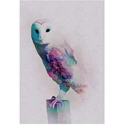 Komar Wall Picture Animals Forest Owl Poster Picture Living Room Bedroom Decoration Art Print No Frame P084A-50x70 Size: 50x70 cm (Width x Height) Komar Wall Picture Animals Forest Owl Poster Picture Living Room Bedroom Decoration Art Print No Frame P084A-50x70 Size: 50x70 cm (Width x Height)
