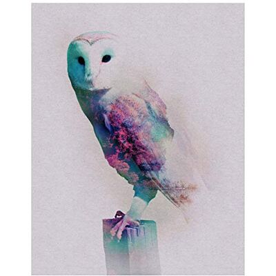 Komar Wall Picture Animals ForestOwl Poster Picture Living Room Bedroom Decoration Art Print Without Frame P084A-40x50 Dimensions 40 x 50 cm (Width x Height) Komar Wall Picture Animals ForestOwl Poster Picture Living Room Bedroom Decoration Art Print Without Frame P084A-40x50 Dimensions 40 x 50 cm (Width x Height)