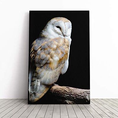 Big Box Art Barn Owl Bird (1) Canvas Print Gallery Wrapped 30mm Frame Wall Art 20x14 inches Ready to Hang Modern Animals Picture Living Room Bedroom Lounge Office Big Box Art Barn Owl Bird (1) Canvas Print Gallery Wrapped 30mm Frame Wall Art 20x14 inches Ready to Hang Modern Animals Picture Living Room Bedroom Lounge Office