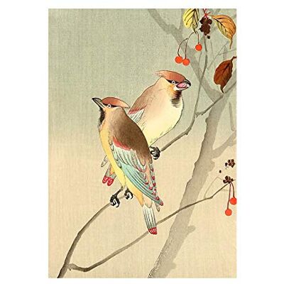 Wee Blue Coo Painting Nature Bird Autumn Japan Ohara Koson Wall Art Print Wee Blue Coo Painting Nature Bird Autumn Japan Ohara Koson Wall Art Print