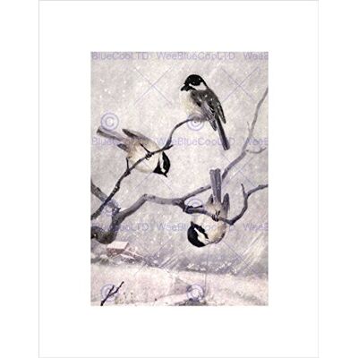 Wee Blue Coo Painting Animal Chickadee Birds Winter Horsfall Wall Art Print Wee Blue Coo Painting Animal Chickadee Birds Winter Horsfall Wall Art Print