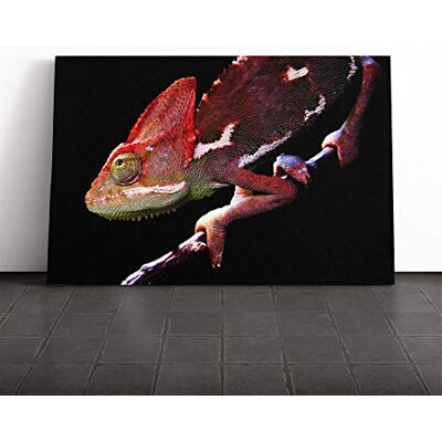 Big Box Art Chameleon Lizard (3) Canvas Print Gallery Wrapped 30mm Frame Wall Art 30x20 inches Ready to Hang Modern Animals Picture Living Room Bedroom Lounge Office Big Box Art Chameleon Lizard (3) Canvas Print Gallery Wrapped 30mm Frame Wall Art 30x20 inches Ready to Hang Modern Animals Picture Living Room Bedroom Lounge Office