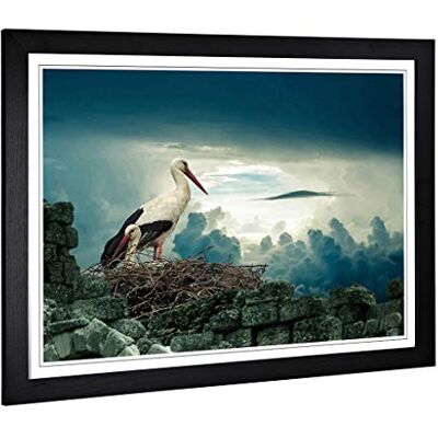 Big Box Art Framed Print of Stork Birds Nest Design Wall Art Picture Home Decor for Kitchen, Living, Dining Room, Lounge, Bedroom, Hallway, Office, Black, A2 / 24.5x18 Inch / 62x45cm Big Box Art Framed Print of Stork Birds Nest Design Wall Art Picture Home Decor for Kitchen, Living, Dining Room, Lounge, Bedroom, Hallway, Office, Black, A2 / 24.5x18 Inch / 62x45cm