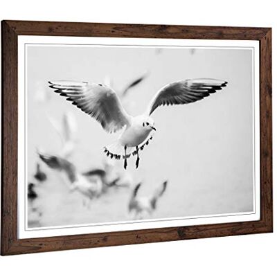 Big Box Art Framed Print of Seagulls Birds Design Wall Art Picture Home Decor for Kitchen, Living, Dining Room, Lounge, Bedroom, Hallway, Office, Walnut, A2 / 24.5x18 Inch / 62x45cm Big Box Art Framed Print of Seagulls Birds Design Wall Art Picture Home Decor for Kitchen, Living, Dining Room, Lounge, Bedroom, Hallway, Office, Walnut, A2 / 24.5x18 Inch / 62x45cm