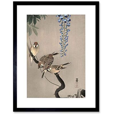 Wee Blue Coo Painting Japan Nature Sparrow Bird Flower Shoson Ohara Framed Wall Art Print Wee Blue Coo Painting Japan Nature Sparrow Bird Flower Shoson Ohara Framed Wall Art Print