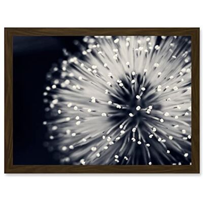 Artery8 - Nature Plant - Black/White - Framed Wall Art Print Artery8 - Nature Plant - Black/White - Framed Wall Art Print