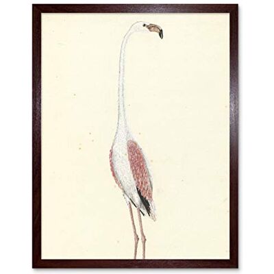 Artery8 Gordon Greater Flamingo Bird Nature Drawing Art Print Framed Poster Wall Decor 12x16 inch Artery8 Gordon Greater Flamingo Bird Nature Drawing Art Print Framed Poster Wall Decor 12x16 inch