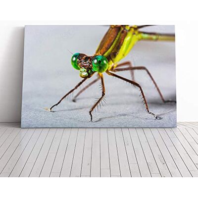 Big Box Art Dragonfly Insect (2) Canvas Print Gallery Wrapped 30mm Frame Wall Art 30x20 inches Ready to Hang Modern Animals Picture Living Room Bedroom Lounge Office Big Box Art Dragonfly Insect (2) Canvas Print Gallery Wrapped 30mm Frame Wall Art 30x20 inches Ready to Hang Modern Animals Picture Living Room Bedroom Lounge Office