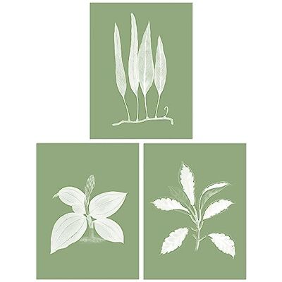 Wee Blue Coo - Sage Green Tree Plant - Unframed - Wall Art Wee Blue Coo - Sage Green Tree Plant - Unframed - Wall Art