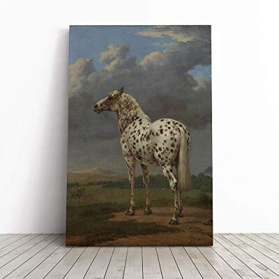 Big Box Art Paulus Potter The Piebald Horse Canvas Print Gallery Wrapped 30mm Frame Wall Art 24x16 inches Ready to Hang Modern Animals Picture Living Room Bedroom Lounge Office Big Box Art Paulus Potter The Piebald Horse Canvas Print Gallery Wrapped 30mm Frame Wall Art 24x16 inches Ready to Hang Modern Animals Picture Living Room Bedroom Lounge Office