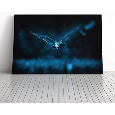Big Box Art Owl Bird (3) Canvas Print Gallery Wrapped 30mm Frame Wall Art 30x20 inches Ready to Hang Modern Animals Picture Living Room Bedroom Lounge Office Big Box Art Owl Bird (3) Canvas Print Gallery Wrapped 30mm Frame Wall Art 30x20 inches Ready to Hang Modern Animals Picture Living Room Bedroom Lounge Office