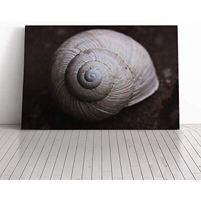 Big Box Art Snail Shell Canvas Print Gallery Wrapped 30mm Frame Wall Art 30x20 inches Ready to Hang Modern Animals Picture Living Room Bedroom Lounge Office Big Box Art Snail Shell Canvas Print Gallery Wrapped 30mm Frame Wall Art 30x20 inches Ready to Hang Modern Animals Picture Living Room Bedroom Lounge Office