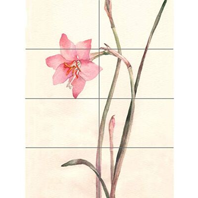 Artery8 - PANDT0091 - Flower Zephyranthes Watercolor XL Giant Panel Poster - Poster Artery8 - PANDT0091 - Flower Zephyranthes Watercolor XL Giant Panel Poster - Poster