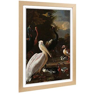 Big Box Art Framed Print of Melchior d'Hondecoeter Birds Design Wall Art Picture Home Decor for Kitchen, Living, Dining Room, Bedroom, Hallway, Office, Oak, A2 / 24.5x18 Inch / 62x45cm Big Box Art Framed Print of Melchior d'Hondecoeter Birds Design Wall Art Picture Home Decor for Kitchen, Living, Dining Room, Bedroom, Hallway, Office, Oak, A2 / 24.5x18 Inch / 62x45cm