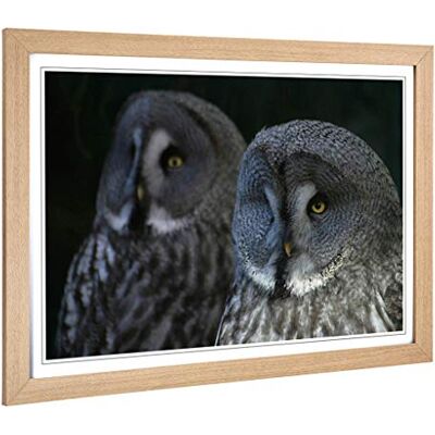 Big Box Art Framed Print of Dark Grey Owls Birds Design Wall Art Picture Home Decor for Kitchen, Living, Dining Room, Lounge, Bedroom, Hallway, Office, Oak, A2 / 24.5x18 Inch / 62x45cm Big Box Art Framed Print of Dark Grey Owls Birds Design Wall Art Picture Home Decor for Kitchen, Living, Dining Room, Lounge, Bedroom, Hallway, Office, Oak, A2 / 24.5x18 Inch / 62x45cm