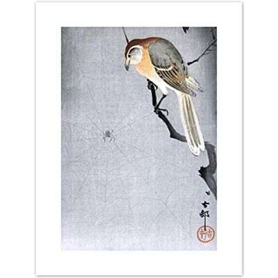 Wee Blue Coo Buffalo Shrike Spider Ohara Koson Art Print Canvas Premium Wall Decor Poster Wee Blue Coo Buffalo Shrike Spider Ohara Koson Art Print Canvas Premium Wall Decor Poster