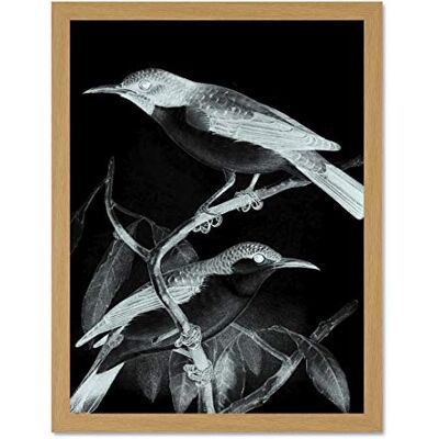 Wee Blue Coo Birds Illustration Night Large Framed Art Print Wall Poster 18x24 inch Wee Blue Coo Birds Illustration Night Large Framed Art Print Wall Poster 18x24 inch