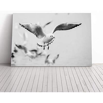 Big Box Art Seagulls Birds Canvas Print Gallery Wrapped 30mm Frame Wall Art 30x20 inches Ready to Hang Modern Bird Picture Living Room Bedroom Lounge Office Big Box Art Seagulls Birds Canvas Print Gallery Wrapped 30mm Frame Wall Art 30x20 inches Ready to Hang Modern Bird Picture Living Room Bedroom Lounge Office